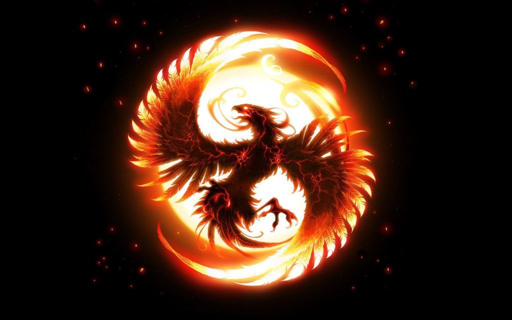 درباره ما 1 robophoenix photo1